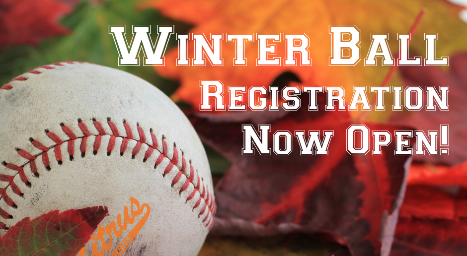 Winter Ball Registration